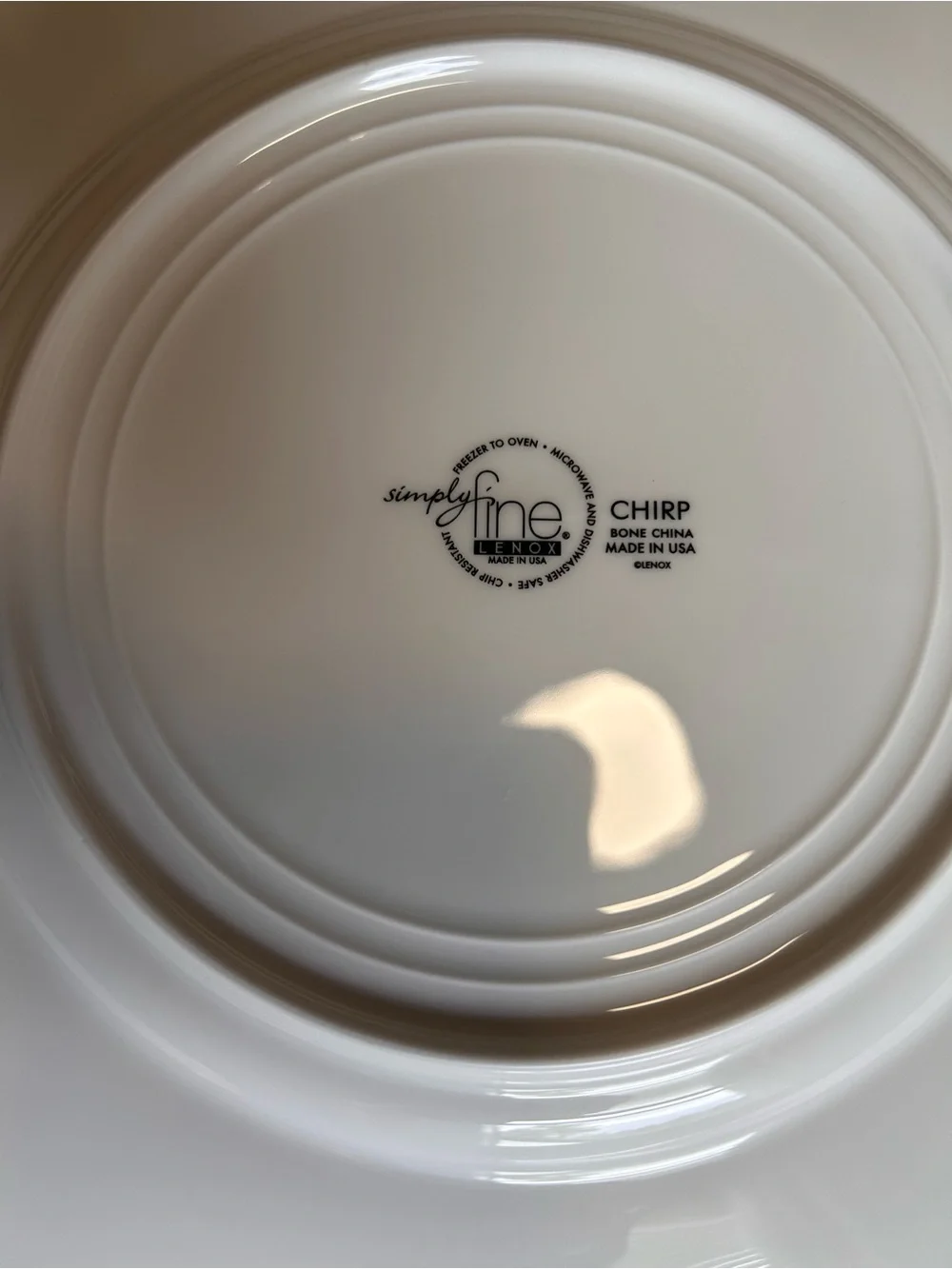 Lenox CHIRP Turquoise Simply Fine -- Set of 4 Dinner Plates 11